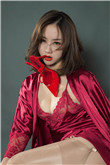 烈火雄心2